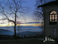 Galeriebild